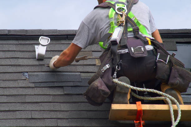 Best Roof Repair Services  in Nahunta, GA